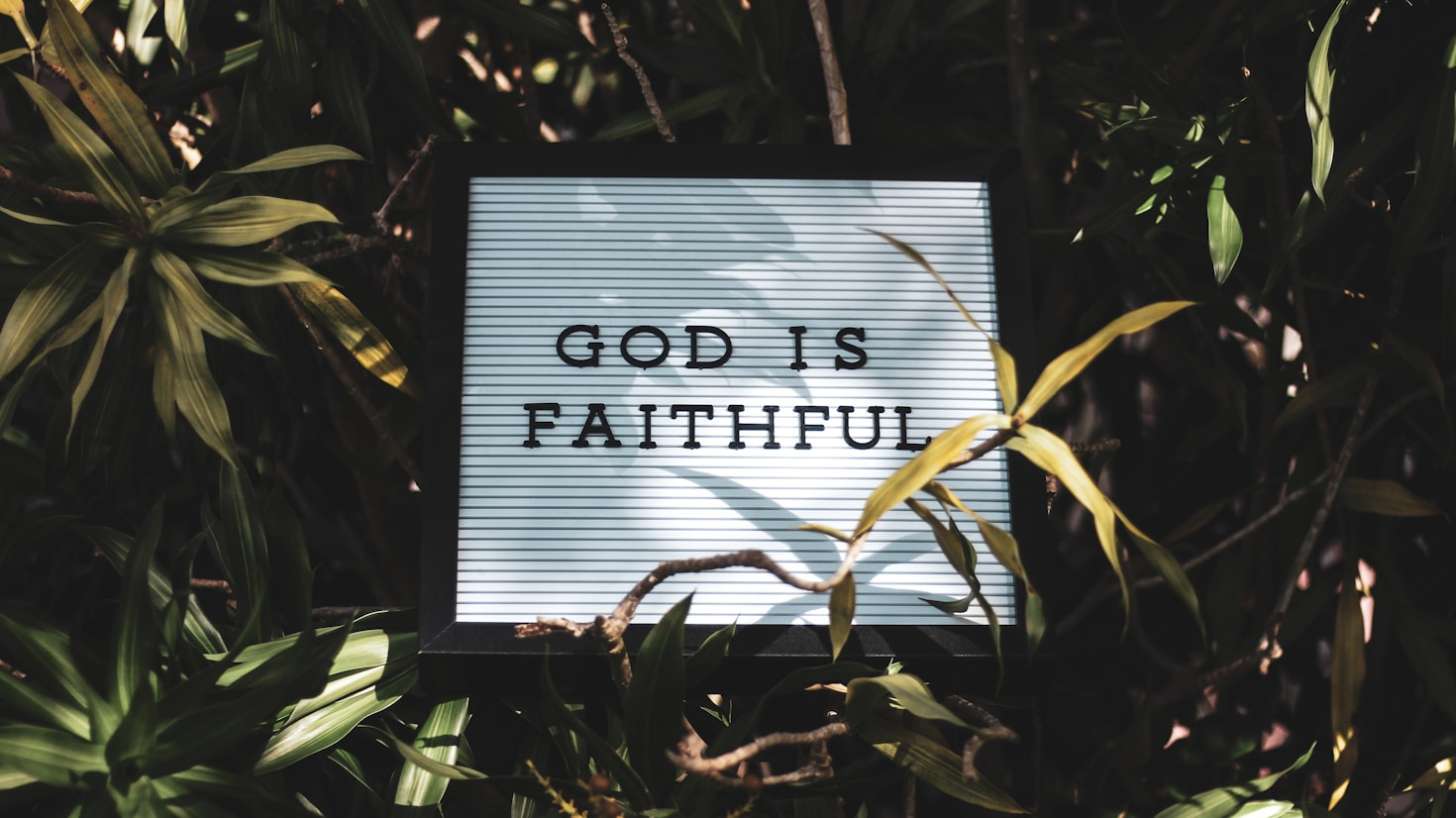 Reflections on Faith Through Community Lenses
